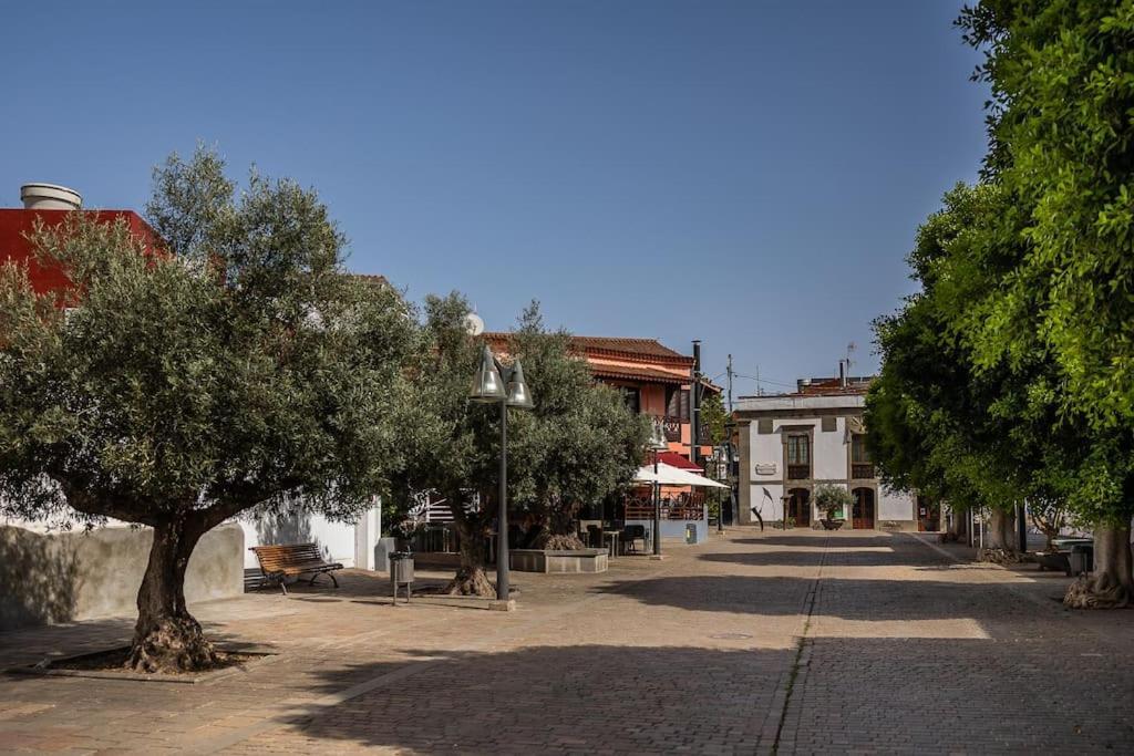 Apartamento En El Casco Historico De San Mateo Веґа-де-Сан-Матео Екстер'єр фото